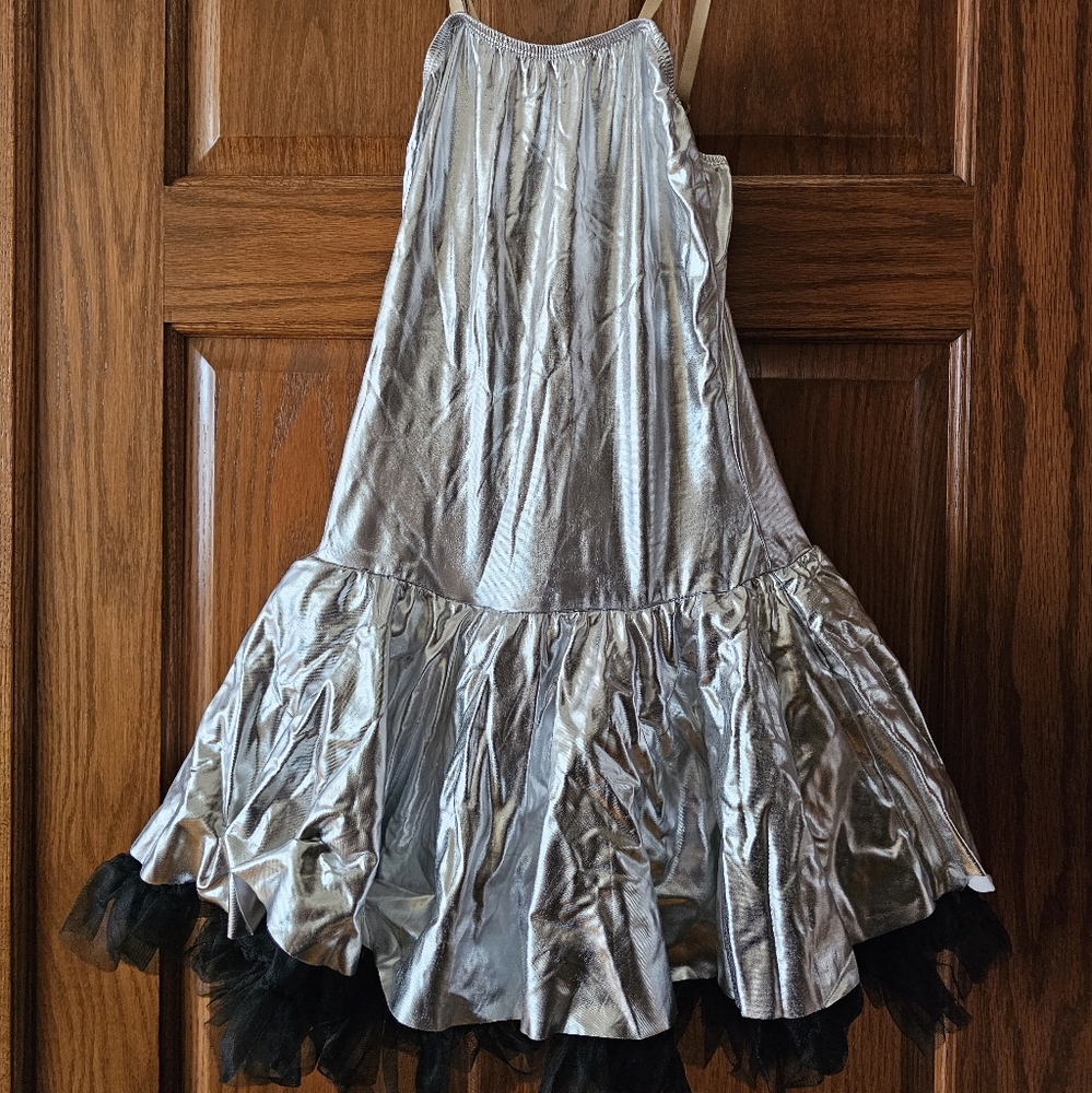 Ice skating dress/costume